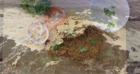 Falafel patties with ocean wave artistic collage