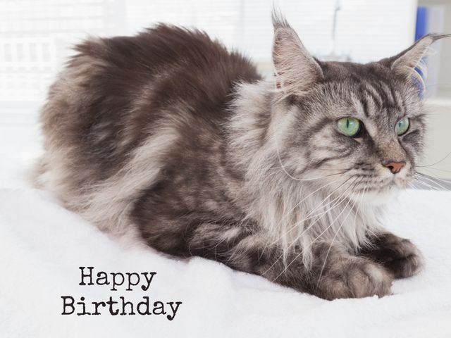 This image features a fluffy Maine Coon cat with green eyes lying on a white surface, accompanied by the text 'Happy Birthday'. Perfect for creating pet-themed birthday cards, social media posts or invitations for cat enthusiasts and pet lovers.