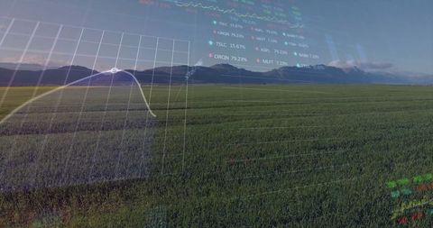 Agriculture and technology: data visualization on farmland