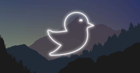 Neon Bird Outline Over Mountain Landscape Concept - Download Free Stock Images Pikwizard.com