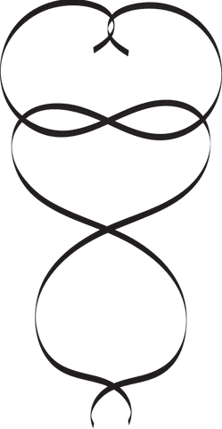 Vector Flourish Design with Transparent Background for Decorative Use - Download Free Stock Videos Pikwizard.com