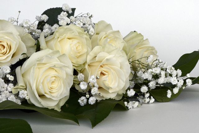Close-up of a bouquet of white roses with baby's breath against a white background. Ideal for wedding themes, romantic decor, floral arrangements, and nature concepts. Perfect for greeting cards, invitations, or websites related to floristry and gardening.