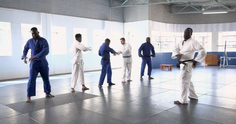 Diverse male judo practitioners perfecting grip techniques in dojo