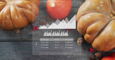 Displaying autumn harvest flatlay with ribbed pumpkins, pinecones and hud overlay on rustic wood