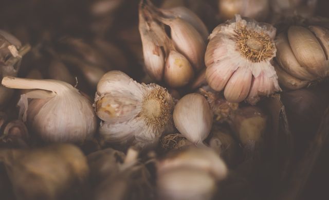 Fresh garlic bulbs and individual cloves filling frame with detailed textures. Perfect with food blogs, organic produce highlights, culinary websites, recipes, cookbooks, health articles, restaurant promotions.