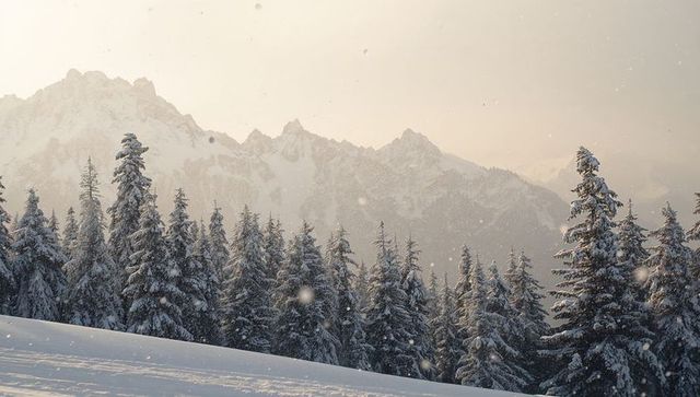 Snow-covered alpine pines under soft golden light with falling snow and jagged peaks