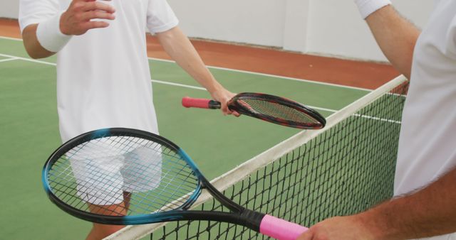 Two Tennis Players Shaking Rackets at Net on Court - Download Free Stock Images Pikwizard.com