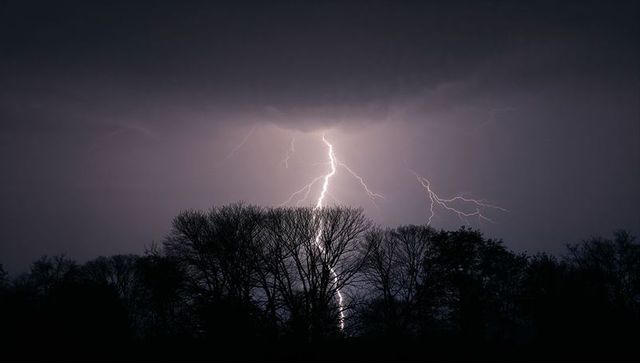 Powerful Lightning Striking Night Sky Behind Silhouette Trees