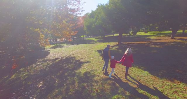 Happy Family Taking a Walk in Sunlit Park - Download Free Stock Images Pikwizard.com