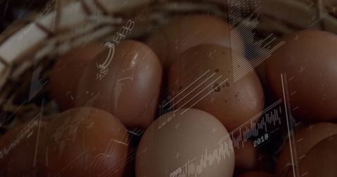 Connecting Agriculture and Finance Through Data Visualization