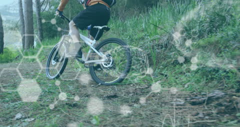 Cyclist Riding Through Woodland Terrain with Digital Overlay