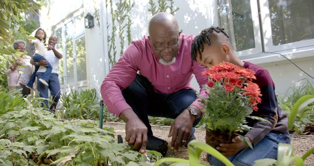 Grandfather and grandson bonding while planting red flowers in garden on sunny day. Mother holding baby and watching in background. Use for articles on family activities, gardening tips, fostering intergenerational relationships.