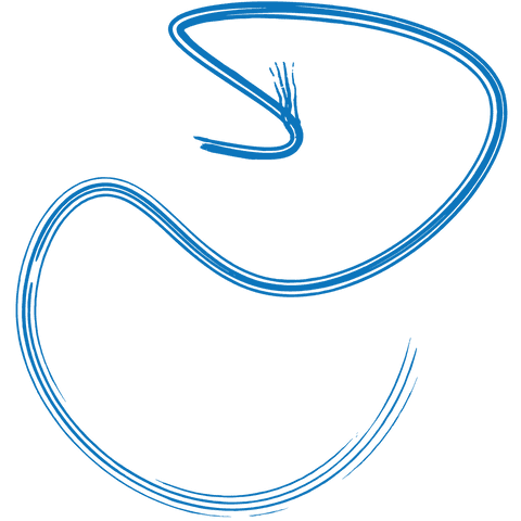 blue curved arrow on transparent background symbolizing change - Download Free Stock Videos Pikwizard.com