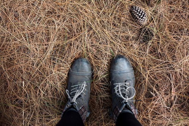 This close-up view of a person wearing weathered boots standing on a layer of pine needles and cones captures the essence of the autumn season. Ideal for fall-themed projects, nature blogs, outdoor activity promotions, and seasonal content. It conveys a sense of exploration and connection with nature.