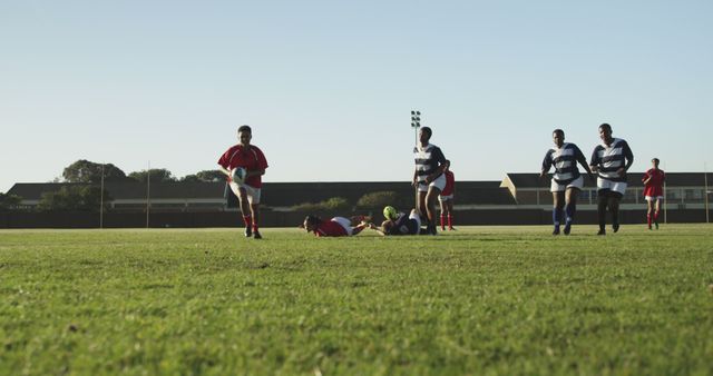 Rugby Players Competing in Outdoor Match on Sunny Day - Download Free Stock Images Pikwizard.com