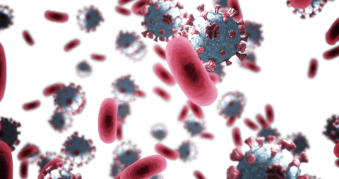 Transparent 3D Illustration of COVID-19 Viruses and Red Blood Cells - Download Free Stock Videos Pikwizard.com