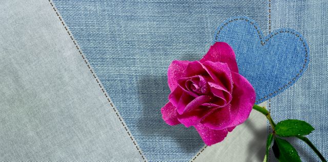 Single pink rose placed on denim fabric with heart-shaped patch. Perfect for romantic or Valentine's Day themed designs, or for rustic, heartfelt floral decoration projects.