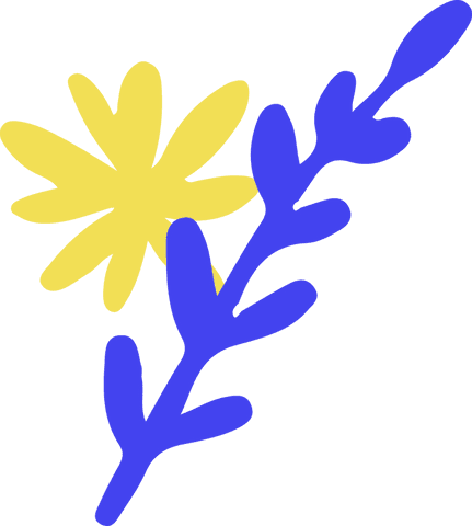 Minimal Transparent Botanical Design as Yellow Daisy Shadows Blue Leaf