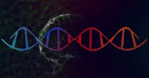 Dynamic Multicolored DNA Helix Illustrates Futuristic Science Concepts