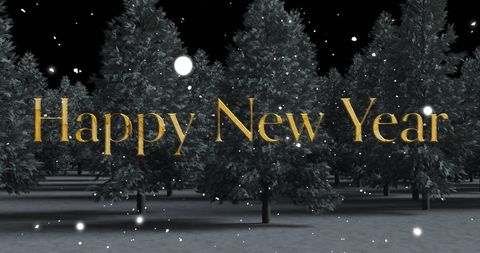 Happy New Year Text with Snowy Forest Background