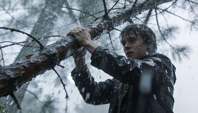 Young man gripping pine branch in heavy rain, struggling through moody overcast forest