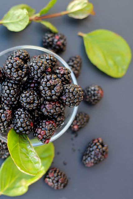 Fresh Blackberries in Glass Bowl with Green Leaves - Download Free Stock Photos Pikwizard.com