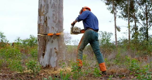 A middle-aged Caucasian man works as a lumberjack, cutting down a tree with a chainsaw, with copy space. His protective gear and the rural setting emphasize the importance of safety and skill in forestry work.