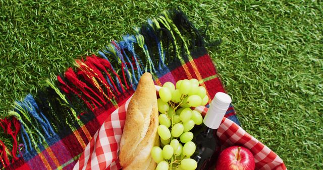 Picnic basket with checkered blanket, fruits, bread and wine on grass with copy space. Picnic day, food and nature concept.