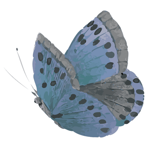 Transparent background blue butterfly vector hovering with layered wings and black spots