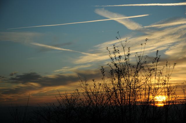 Beautiful morning landscape features silhouette of bushes against a clear sky with visible contrails. Sun rising creates a warm glow on the horizon, making it ideal for use in nature and ecology themes, outdoor activity advertisements, or environmental campaigns. Great for backgrounds in presentations or websites promoting tranquility and the beauty of early mornings.