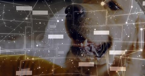 Golden Retriever with Futuristic Digital Interface Overlay