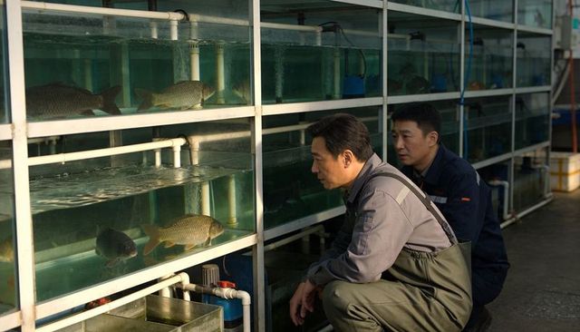 Aquaculture technicians inspecting hatchery tanks and filtration system inside fish farm facility