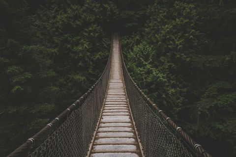 Suspension Bridge Amidst Dense Forest Foliage
