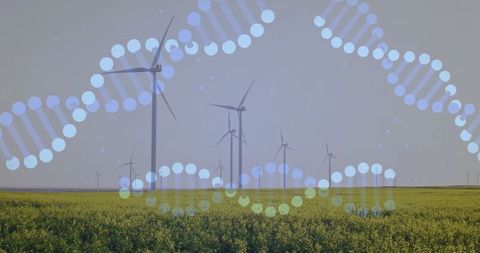 Wind turbines in canola field with dna helix symbolizing green technology