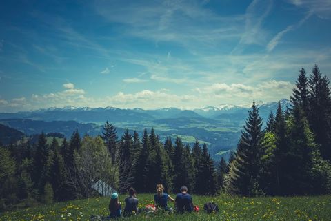 Family Relaxing in Scenic Alpine Meadow with Mountain View