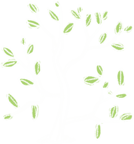 Chalkboard Sketch of Branching Plant with Leaves Transparent - Download Free Stock Videos Pikwizard.com
