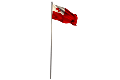 Waving tongan flag on pole with transparent background