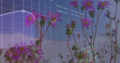 Double exposure daisies with financial charts overlay conveying green finance growth
