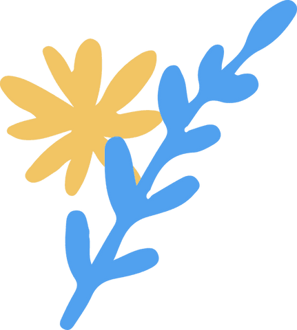 Minimalist Floral Illustration with Yellow Flower on Transparent