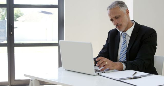 Mature Businessman Working on Laptop in Office with Natural Light - Download Free Stock Images Pikwizard.com