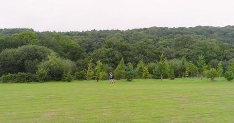 Person Jogging Through Lush Green Park Amidst Dense Forest - Download Free Stock Images Pikwizard.com