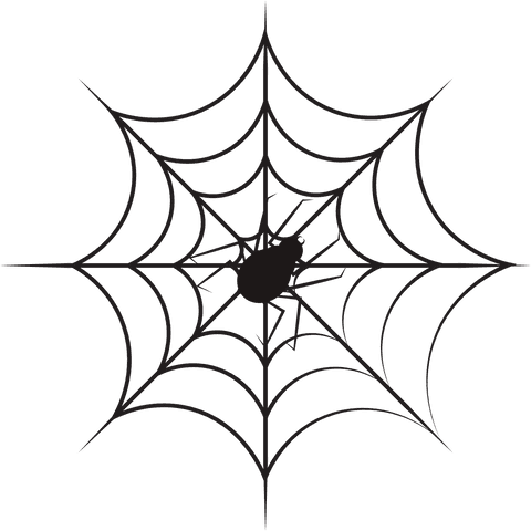 black spider on web design illustration on transparent background - Download Free Stock Videos Pikwizard.com