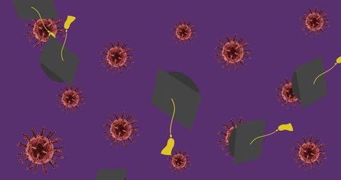 Symbolic Integration of Education and Health Concept