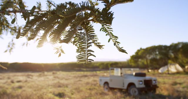 Vintage Off-Road Vehicle in Scenic Nature Landscape During Sunset - Download Free Stock Images Pikwizard.com