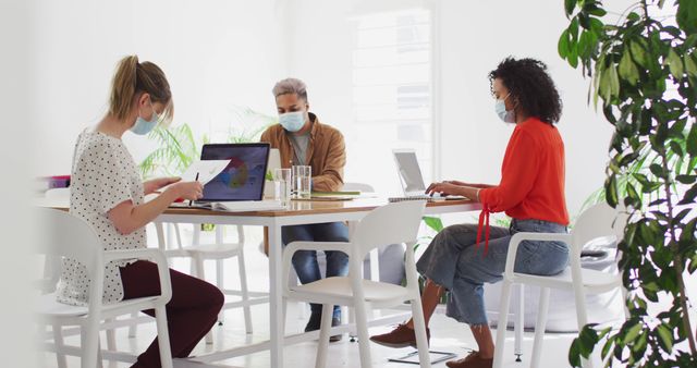 Diverse Team Collaborating with Laptops while Wearing Masks in Office - Download Free Stock Images Pikwizard.com