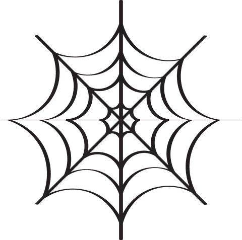 transparent black spider web illustration on clear background - Download Free Stock Videos Pikwizard.com
