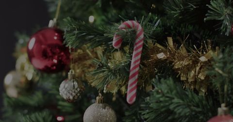Colorful Christmas Tree Ornaments and Décor Celebrating Festive Season - Download Free Stock Images Pikwizard.com