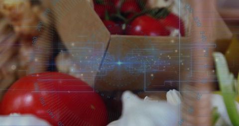 Slicing Garlic with Tomatoes and Herbs Augmented Reality HUD Overlay for Smart Cooking
