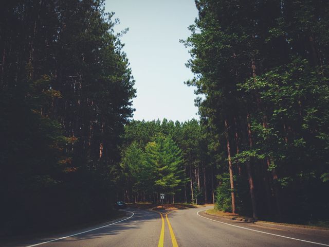 Curving road amidst dense forest and lush greenery evokes a sense of tranquility and adventure. Ideal for travel magazines, nature blogs, and promotional material for road trips. Can be used to emphasize peacefulness, outdoor activities, or scenic drives.