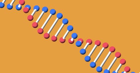 Colorful DNA Strand on Vibrant Orange Background - Download Free Stock Images Pikwizard.com